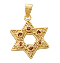 Gold Filled Star of David Garnet Pendant